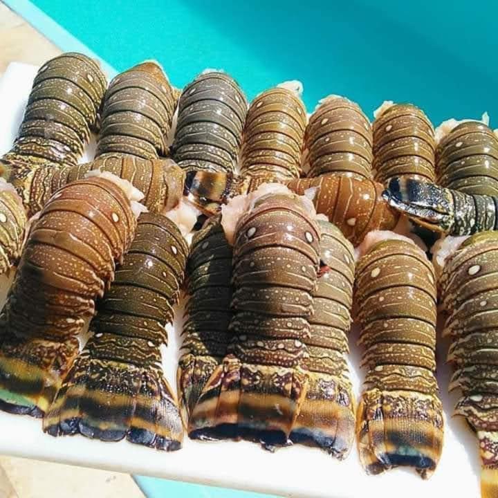 Pousada A Vida é Bela Águas Belas Esterno foto